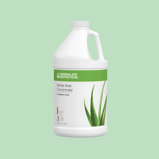 Herbal Aloe Concentrate: Mandarin Half Gallon - Lecse