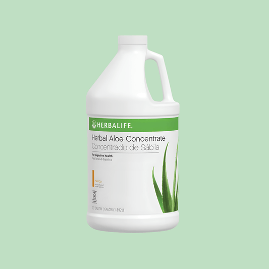Herbal Aloe Concentrate: Mango 1/2 Gallon - Lecse